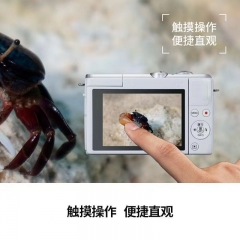 选中的产品图